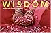 Wisdom: 365 Thoughts from Indian Masters