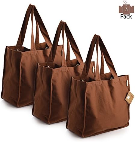 PreserveNext Deluxe Reusable Cotton Canvas Grocery Tote Bag with Bottle Sleeves - Brown (3 Pack)