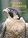 Falconry & Hawking