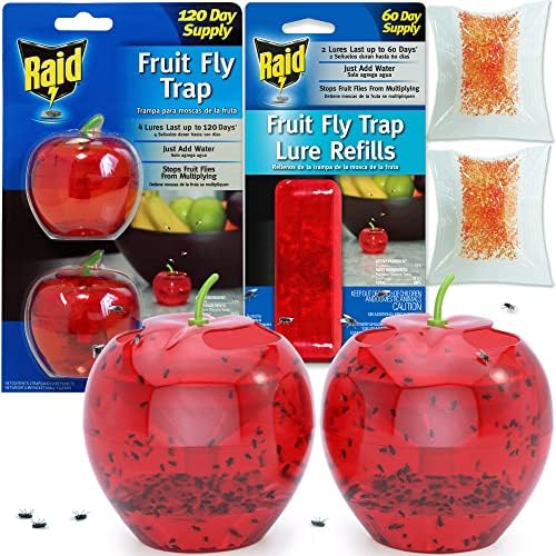 Fruit Fly Traps for Indoors by Raid 2 Lures + 2 Refills Effective