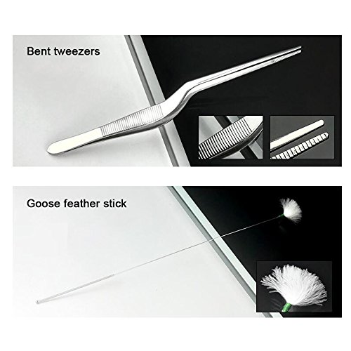 Denshine Ear Wax Removal, 12 Pcs Ear Pick Ear Cleaner Ear Wax Removal Tool for Kids