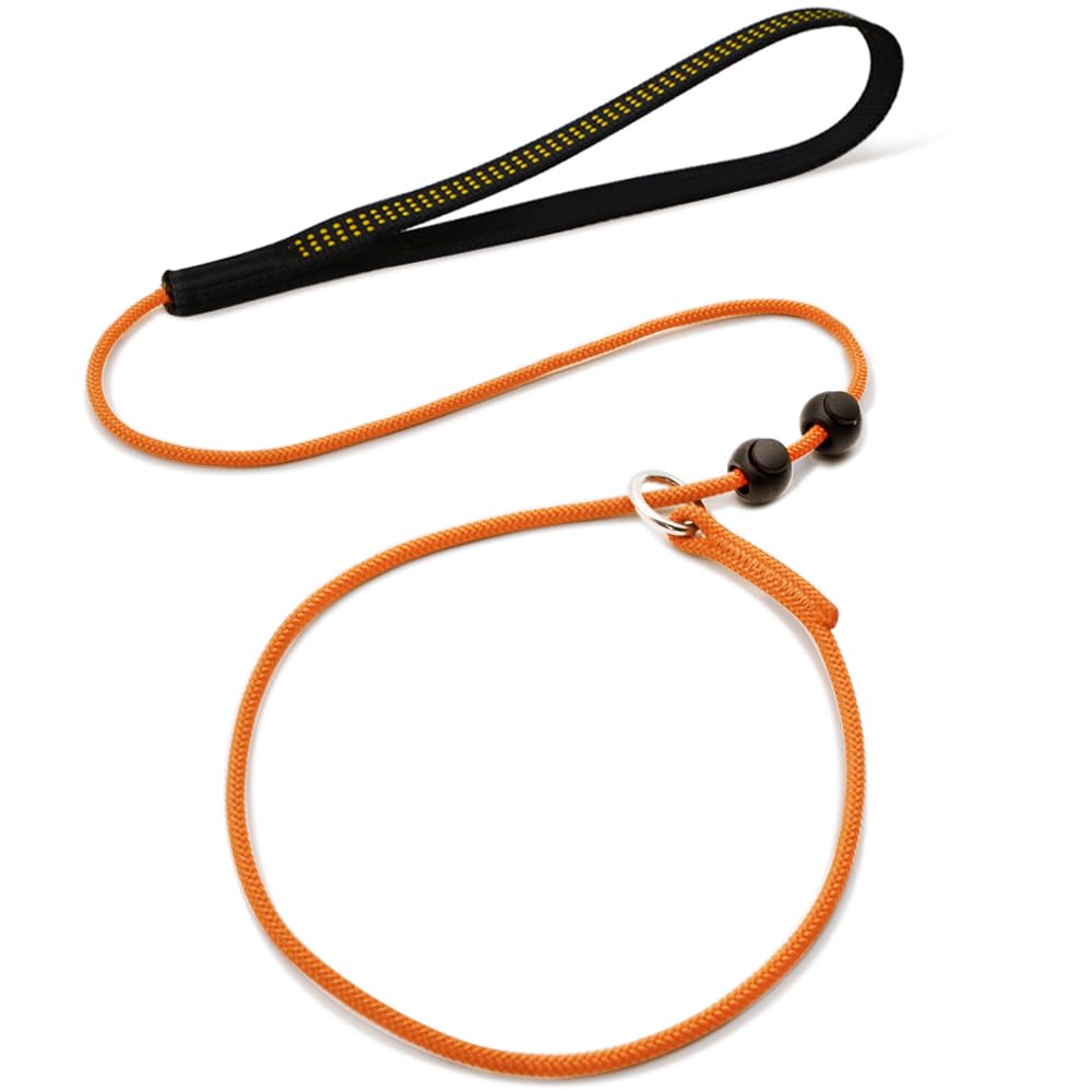 Photo 1 of BeauGo Slip Leads for Dogs,Top Speed Training Dog Leash,2-in-1 Slip Collar Dog Training Lead & Collar,5ft Thin Slip Lead,sturdyand Durable, Leash Suitable for Small, Medium, and Large Dogs(Orange)