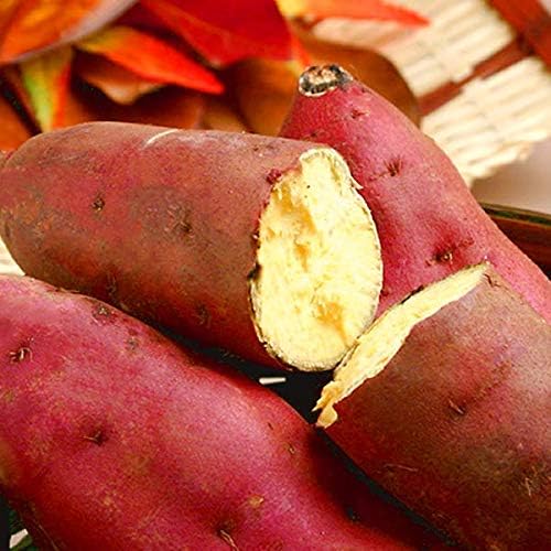 Amazon 紅あずまのさつまいも 5kg 茨城産のサツマイモ 静岡産の薩摩芋 おいもや さつまいも 通販