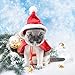 Legendog Cat Costume Pet Christmas Costume Red Velvet Pet Cape Cat Cloak with Christmas Hat Cat Apparel for Cats and Small Dogs