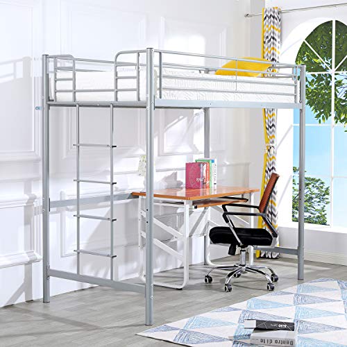 Bonnlo Twin Size Metal Loft Bed for Kids, Gray Pricepulse