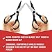 Latest Kitchen Shears | Lifetime Replacement Warranty | Award-Winning Heavy Duty Multi-Purpose Utility Scissors for Chicken, Poultry, Fish, Meat, Vegetables, Herbs and Daily Use Around The House
