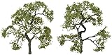 JTT Professional Series Beech Trees 3