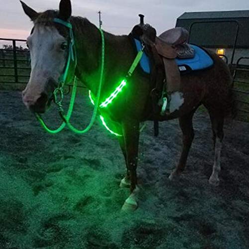 Flytianmy Adjustable LED Horse Breastplate Collar Reflective Horse Tack Sturdy Comfortable Equestrian Protective Safety Gear Green