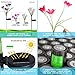 Loren Solar Lights Outdoor - New Upgraded Solar Garden Lights, Multi-Color Changing Lily Solar Flower Lights for Patio,Yard Decoration, Bigger Flower and Wider Solar Panel (2Pack)