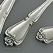 Oneida True Rose 5 Piece Everyday Flatware Serving Set