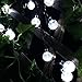 LightsEtc Solar Outdoor String Lights 20led Crystal Ball for Garden,Yard, Home Decorations (White)
