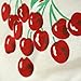 Red and White Kitchen Cherries Kitchen Flour Sack Towel
