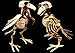 Bird Skeleton 7.5