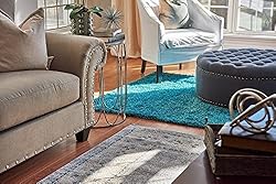 Unique Loom Solid Shag Collection Area Rug