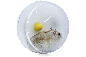 WishLotus Silent Running Wheel - Exercise Toy and Cage Accessory for Hamster, Golden Silk Shih Tzu, Bear (Clear)