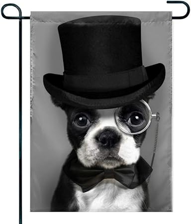 dog top hat