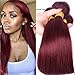 Black Rose Hair 300Gram Bundles Deal Silky Straight 99J Burgundy Red Color Human Hair 3 Bundles Thick Soft Peruvian Virgin Hair Weft Exteniosn r(99J#, 20