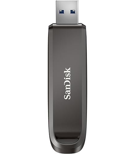 Amazon.com: SanDisk 2TB Extreme PRO Flash Drive with USB-C - Up to