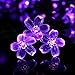 Qedertek Solar Christmas String Lights, 21ft 50 LED Halloween Purple String Lights, Fairy Blossom Lights String, Xmas Decorations for Indoor Outdoor, Home, Garden, Patio, Party and Xmas Trees Purple
