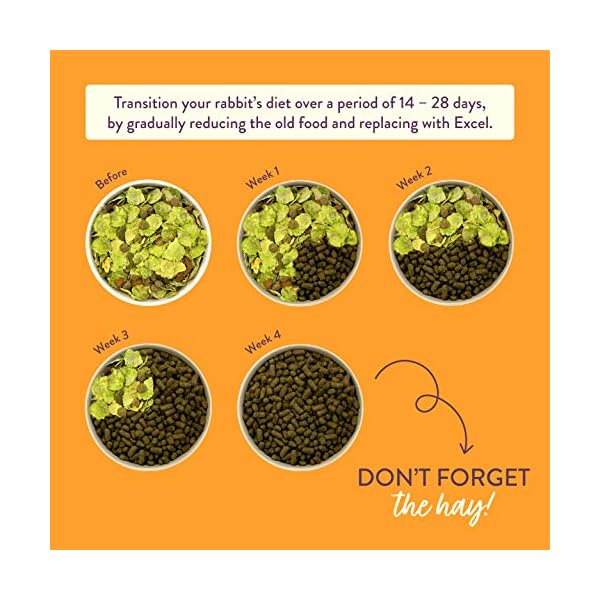 Burgess Excel Rabbit Adult Oregano, 2 kg