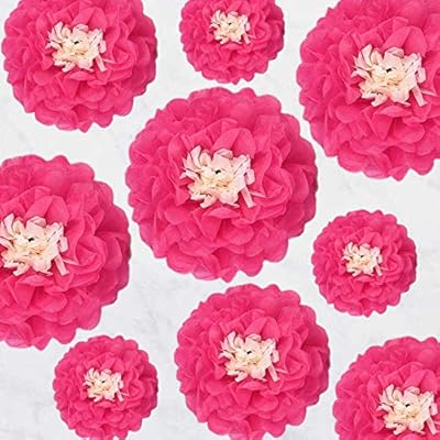Tissue Paper Flowers Wall Decorations 9pcs Tissue Flowers Backdrop