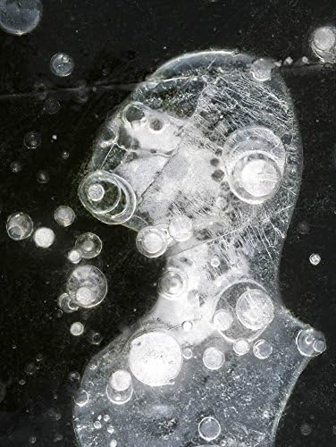 Ice Portrait