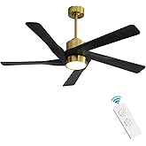 WINGBO 54" ABS DC Ceiling Fan with Lights, 5 Blade ABS Plastic Ceiling Fan with Remote, 6-Speed Reversible DC Motor, LED Ceiling Fans for Kitchen Bedroom Living Room, Brass and Matte Black