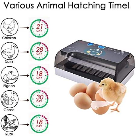 MuZhuo Egg Incubator, Egg Incubator Digital Automatic Incubator, High-efficiency Led Lighting And Automatic Egg Turning Function, For Eggs, Duck Eggs, Fire Eggs, Etc.