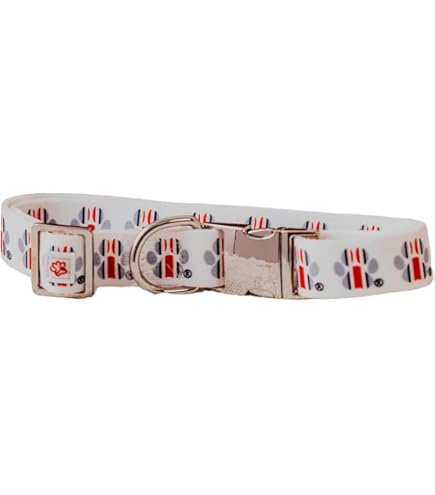 Ohio State Buckeyes Dog Collar - Official Collegiate Licensed Pet Accessory
