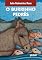Livro O Burrinho Pedrês