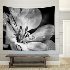Flower with Raindrops - Fabric Wall Tapestry Home Decor - 51x60 inches