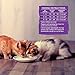 Wellness CORE Grain-Free Kitten Formula Dry Cat Food, 2 Pound Bag