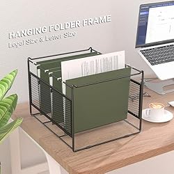 Fun storage Hanging File Organizer