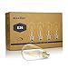 Ascher E26 LED Light Bulbs, Dimmable, 6W, Equivalent 60W, 800lm, Warm White 2700K, ST58 Edison Bulb, Vintage Filament Clear Glass, Pack of 4