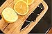 Holtzman's Credit Card Knife #1 Best Wallet Knife 100% (Black)