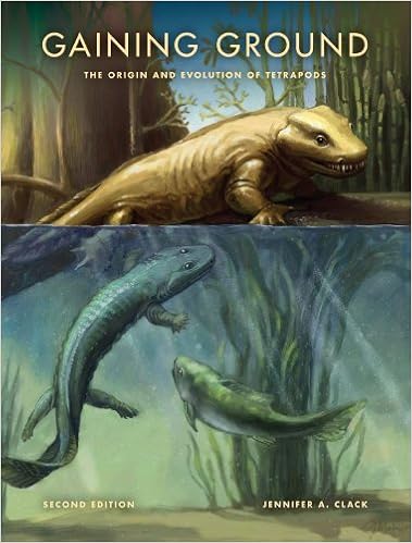 Amazon Com Gaining Ground Second Edition The Origin And Evolution Of Tetrapods Life Of The Past 9780253356758 Clack Jennifer A Books