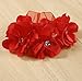 morecome Baby Flower Girls Princess Pageant Lace Dresses (6M, Red)