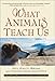 What Animals Teach Us: Love, Loyalty, Heroism, and Other Life Lessons from Our Pets - Book by Mary Key