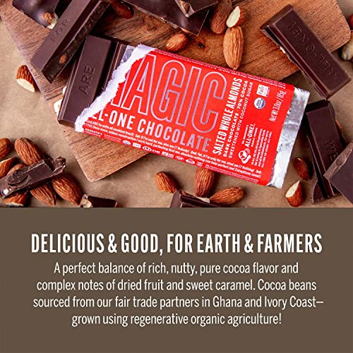 Dr. Bronner's Magic AllOne Chocolate Salted Whole Almonds Bar