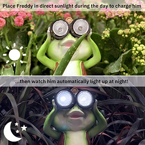 New Solar Frog Lawn Ornament - Limited Edition ‘Freddy The Explorer’ - 8 inches Tall - Solar Garden Statue - Thumbnail 3