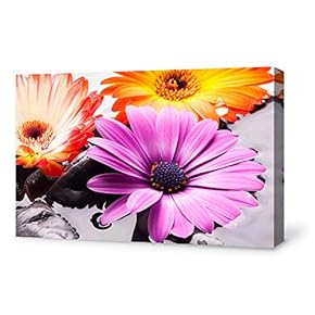 Canvas Wall Art for Living Room,Bedroom Home Artwork Paintings Orchid SPA Backgrounds Ready to Hang - 12x18 inches