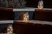 Austral Home 3 Pack Solar Mason Jar Lids Lights 10 LED Warm White Solar Powered Lights Screw on Silver Lids - Decorative Garden Outdoor Party - Jars not Included
