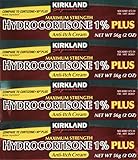 Kirkland Signature Maximum Strength Hydrocortisone