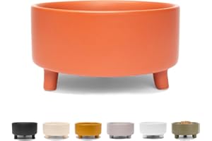 Waggo Uplift Ceramic Dog Bowl for Small Medium and Large Breeds - Heavyweight and Durable Pet Food and Water Dish Crock, Dishwasher Safe, Modern, Elevated Feeder (Teracotta, Large)