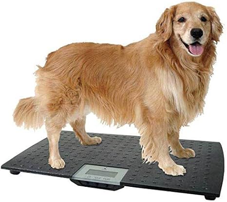 WC Redmon Precision Digital Pet Scales 
