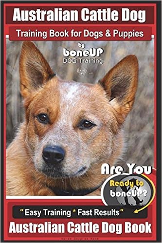 australian cattle dog training