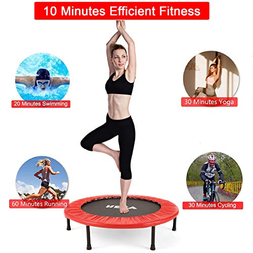 HEKA Mini Trampoline for Adults, Fitness Rebounder with Safety Pad, Exercise Rebounder Indoor
