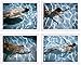 Deanna Templeton: The Swimming Pool (UM YEAH ARTS)