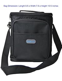 Bolso del refrigerador para el almuerzo, aislado,
