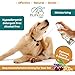 Pupkiss Pets Oatmeal Anti Itch Spray For Dogs & Cats | Relief For Pets With Allergies, Flea Bites, Itchiness & Sensitive Skin | Soothes & Moisturizes Dry Dog Skin | Made in USA